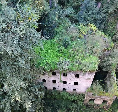 Casa Enzina *